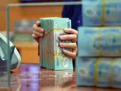 Ảnh bìa bài viết 955444