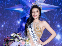 Ảnh bìa bài viết 955388