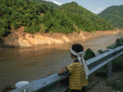 Ảnh bìa bài viết 955425
