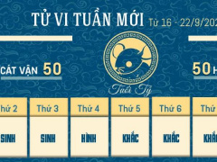 Ảnh bìa bài viết 955333