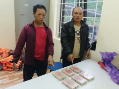 Ảnh bìa bài viết 955538