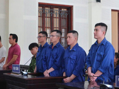 Ảnh bìa bài viết 955495