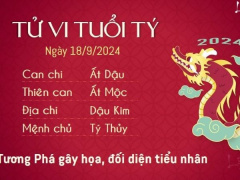 Ảnh bìa bài viết 955638