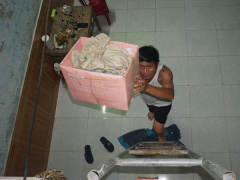 Ảnh bìa bài viết 955746