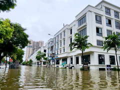 Ảnh bìa bài viết 955752