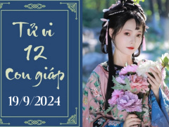 Ảnh bìa bài viết 955798