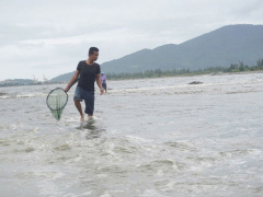 Ảnh bìa bài viết 955825
