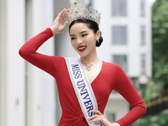 Ảnh bìa bài viết 955921