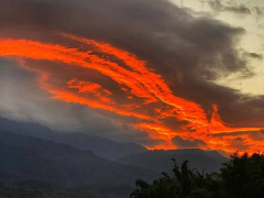 Ảnh bìa bài viết 955971