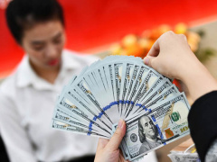 Ảnh bìa bài viết 956039