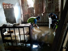 Ảnh bìa bài viết 956160