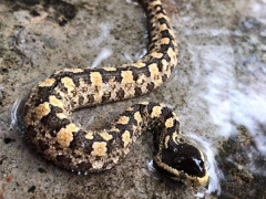 Ảnh bìa bài viết 956216