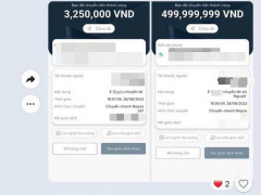 Ảnh bìa bài viết 956185