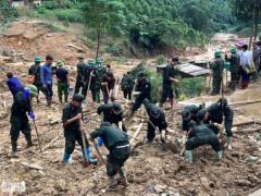 Ảnh bìa bài viết 956198