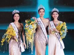 Ảnh bìa bài viết 956249