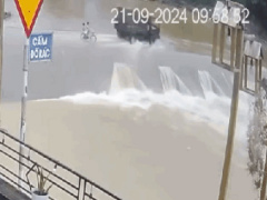 Ảnh bìa bài viết 956260