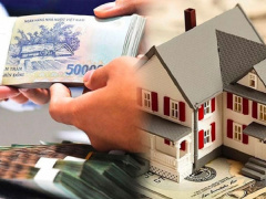 Ảnh bìa bài viết 956301