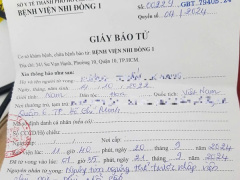 Ảnh bìa bài viết 956415