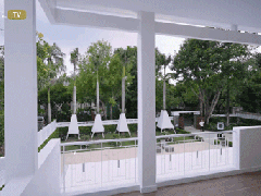 Ảnh bìa bài viết 956509