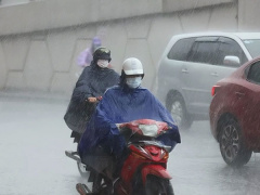 Ảnh bìa bài viết 956504