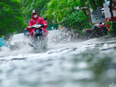 Ảnh bìa bài viết 956366