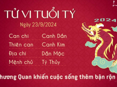 Ảnh bìa bài viết 956365