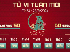 Ảnh bìa bài viết 956400