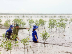 Ảnh bìa bài viết 956428