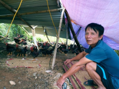 Ảnh bìa bài viết 956677