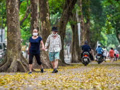 Ảnh bìa bài viết 956528