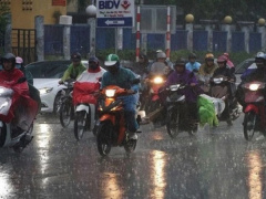 Ảnh bìa bài viết 956692