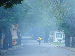 Ảnh bìa bài viết 956898