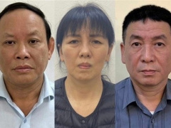 Ảnh bìa bài viết 957038