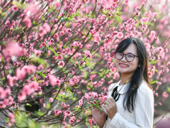 Ảnh bìa bài viết 957043