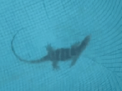 Ảnh bìa bài viết 957368