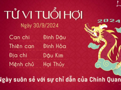 Ảnh bìa bài viết 957425