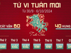 Ảnh bìa bài viết 957458