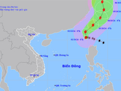 Ảnh bìa bài viết 957639