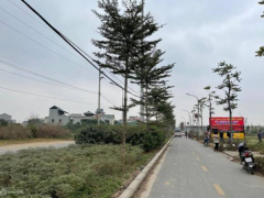 Ảnh bìa bài viết 957864