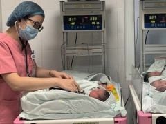 Ảnh bìa bài viết 958099