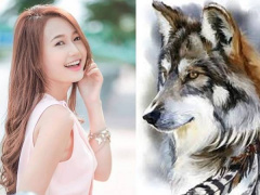 Ảnh bìa bài viết 958213