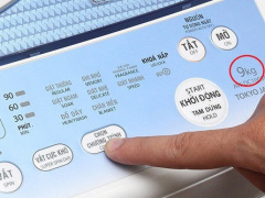 Ảnh bìa bài viết 958346