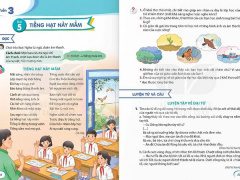 Ảnh bìa bài viết 958621