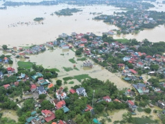 Ảnh bìa bài viết 958889