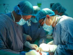 Ảnh bìa bài viết 959046