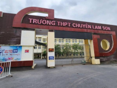 Ảnh bìa bài viết 959436