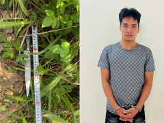 Ảnh bìa bài viết 959624