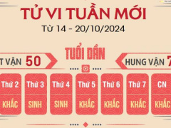 Ảnh bìa bài viết 959678
