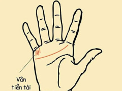 Ảnh bìa bài viết 959924
