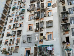 Ảnh bìa bài viết 960047